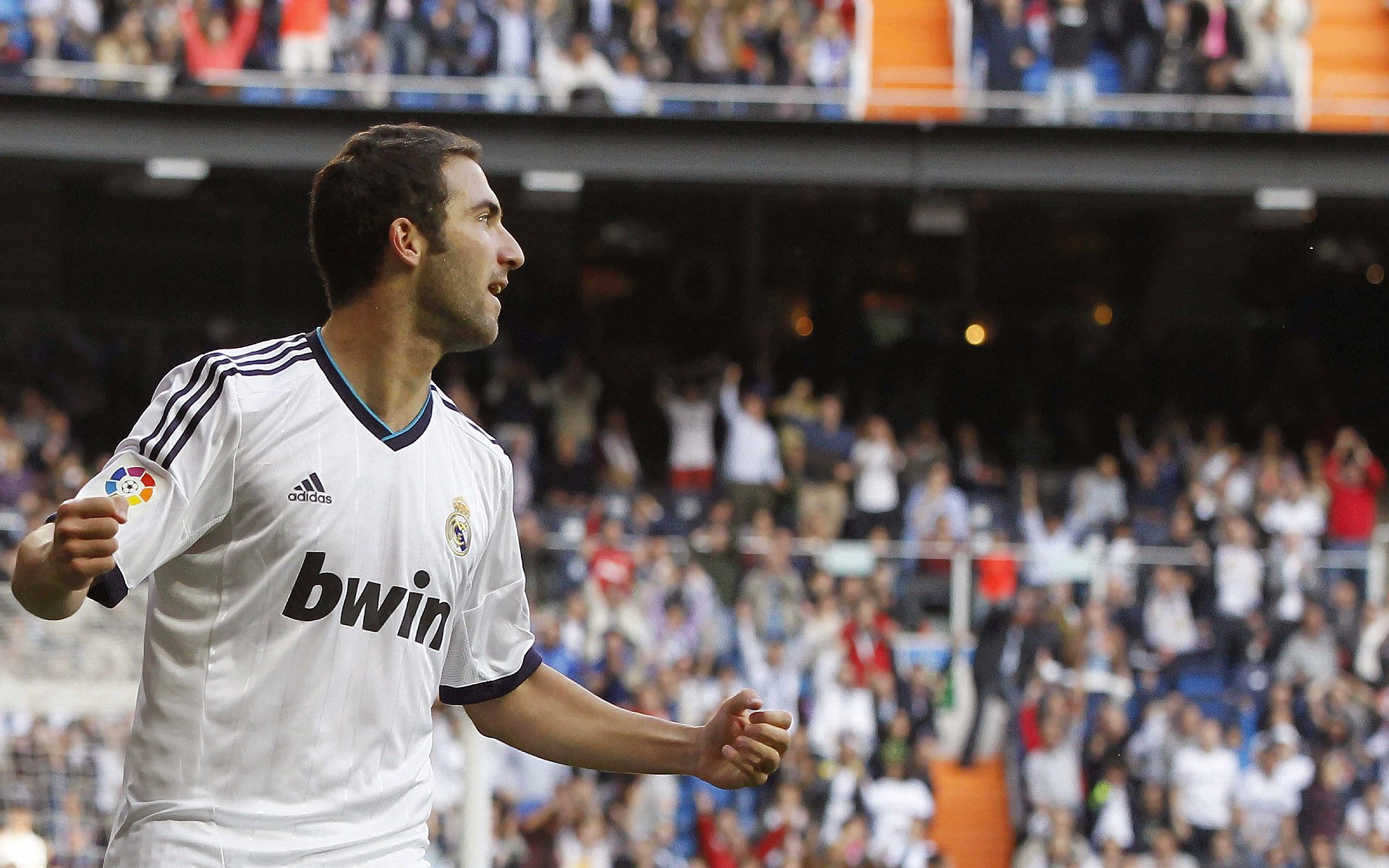 运动员最萌瞬间:运动中的萌宠陪跑